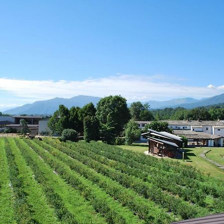 Agriturismo Il Frutto Permesso Bibiana Zewnętrze zdjęcie