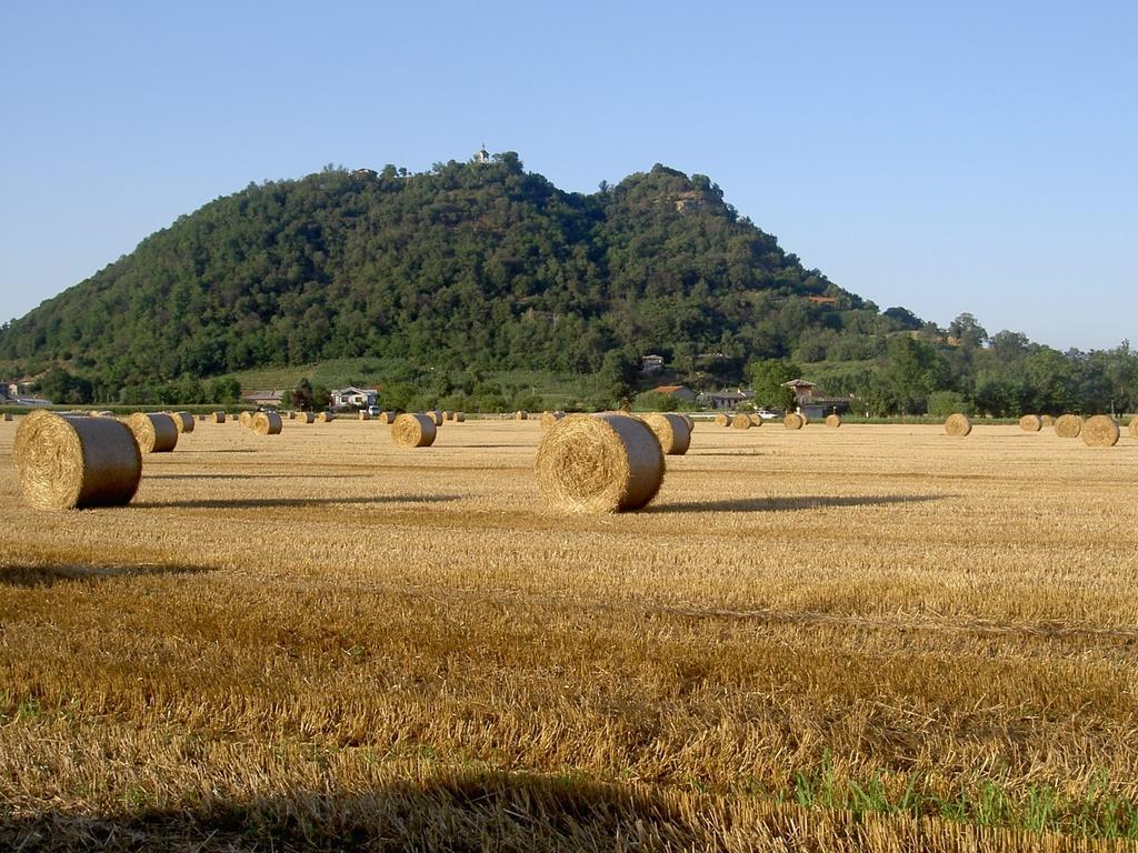 Agriturismo Il Frutto Permesso Bibiana Zewnętrze zdjęcie
