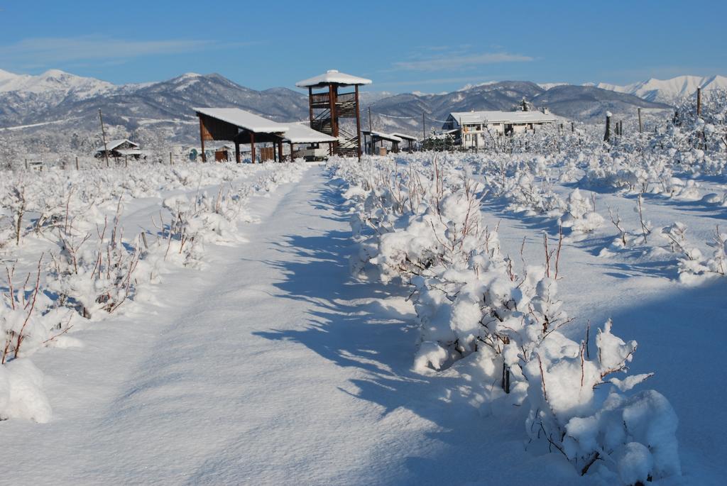 Agriturismo Il Frutto Permesso Bibiana Zewnętrze zdjęcie