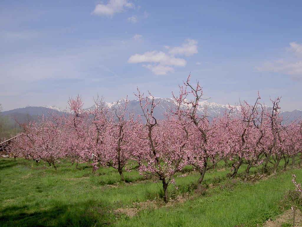 Agriturismo Il Frutto Permesso Bibiana Zewnętrze zdjęcie