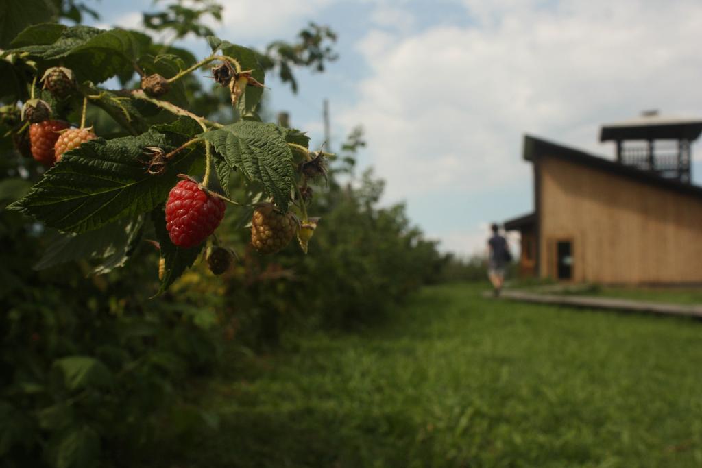 Agriturismo Il Frutto Permesso Bibiana Zewnętrze zdjęcie