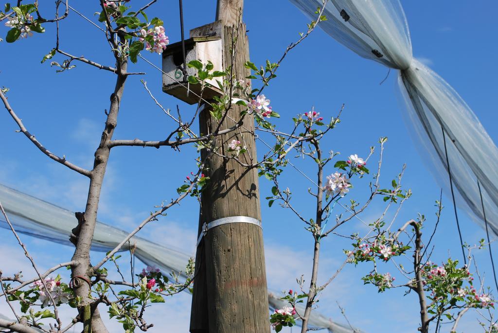 Agriturismo Il Frutto Permesso Bibiana Zewnętrze zdjęcie