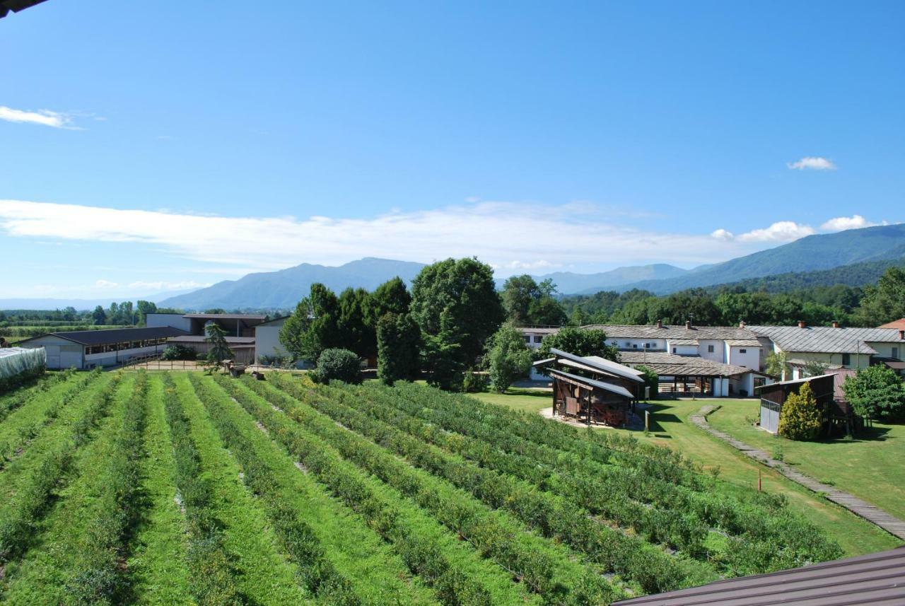 Agriturismo Il Frutto Permesso Bibiana Zewnętrze zdjęcie