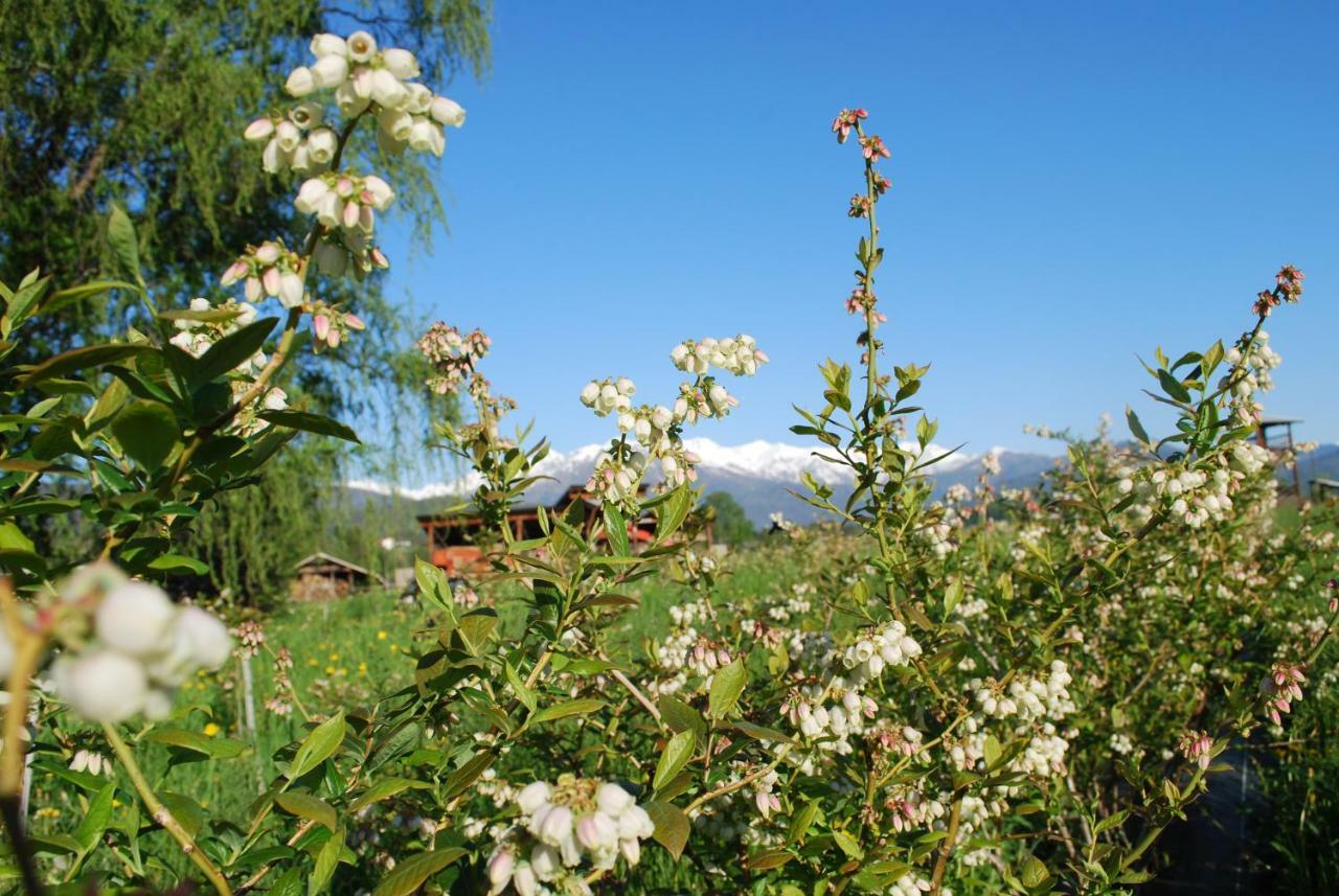 Agriturismo Il Frutto Permesso Bibiana Zewnętrze zdjęcie